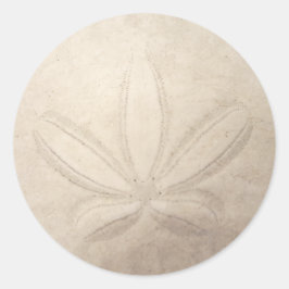 Sand Dollar Round Sticker