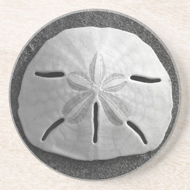 Sand Dollar Sea Muschel Beach Drink Untersetzer (Vorne)