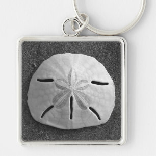 Sand Dollar Sea Muschel Ocean Beach Schlüsselanh Schlüsselanhänger
