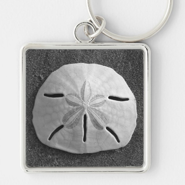 Sand Dollar Sea Muschel Ocean Beach Schlüsselanhän Schlüsselanhänger (Vorne)