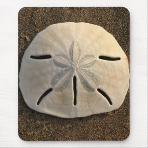 Sand Dollar Sea Muschel Sand Beach Mousepad