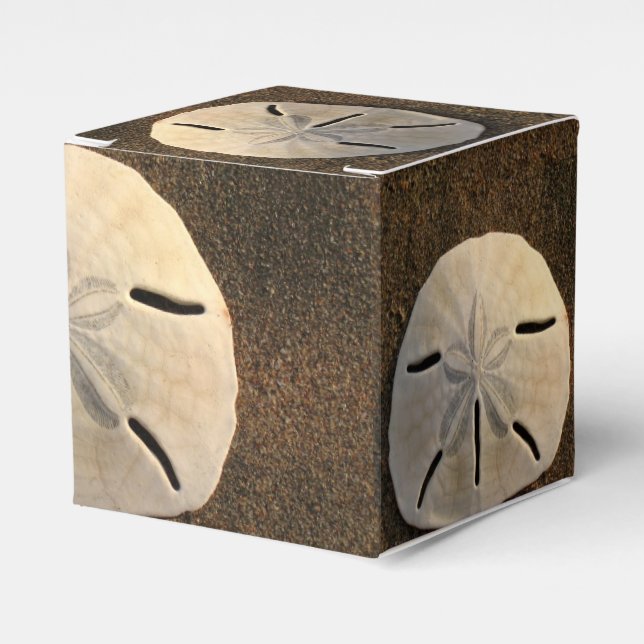 Sand Dollar Seashell Gastgeschenk Custom Geschenkb Geschenkschachtel (Vorderseite)