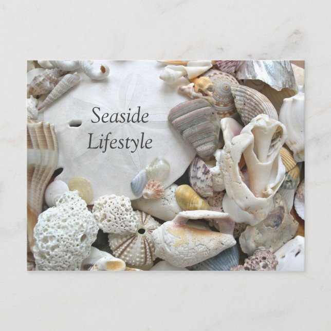 Sand Dollar Seaside Lifestyle New Addres Ankündigungspostkarte (Vorderseite)