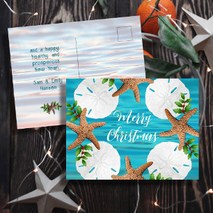 Sand-Dollar-Seesterne-Weihnachts-Grußkarten Postkarte