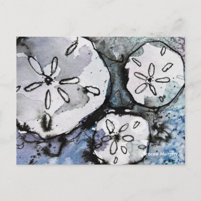 Sand Dollar Trio Postkarte (Vorderseite)