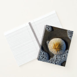 Sand Dollar und Surf Beach Foto 8x11 Notebook Notizbuch