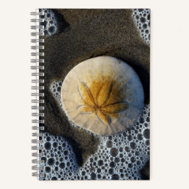 Sand Dollar und Surf Beach Foto 8x5 Notebook Notizbuch