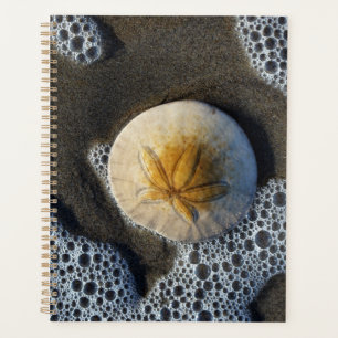Sand Dollar und Surf Beach Foto Planer