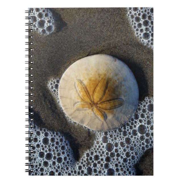 Sand Dollar und Surf Beach Foto Spiral Notebook Notizblock (Vorderseite)