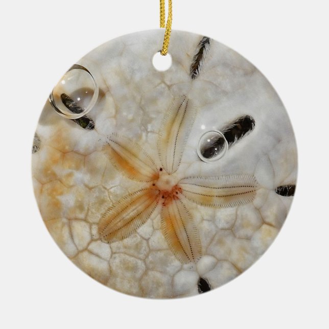 Sand-Dollar unter Wasser Keramik Ornament (Vorne)