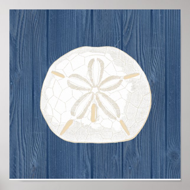 Sand Dollar Vintag Blue Wood Beach Poster (Vorne)