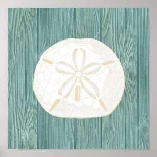 Sand-Dollar-Vintages Aqua-hölzernes Strand-Plakat Poster