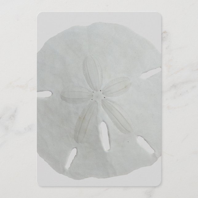 Sand Dollar Wedding Fan Program Paper Programm (Vorderseite)