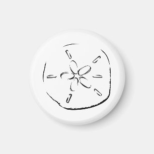 Sand Dollar Zeichnend Magnet