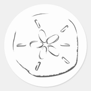 Sand Dollar Zeichnend Runder Aufkleber