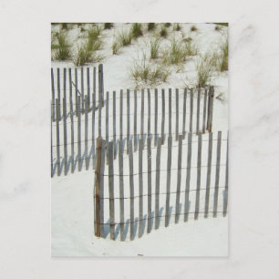 Sand Dune Fence Postkarte
