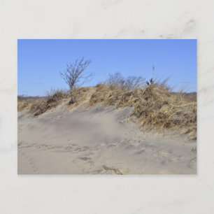 Sand Dune Postcard Postkarte