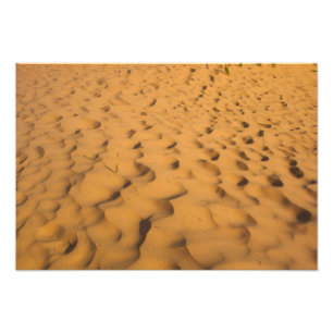 Sand Dunes at Pictured Rocks NL, Michigan Fotodruck