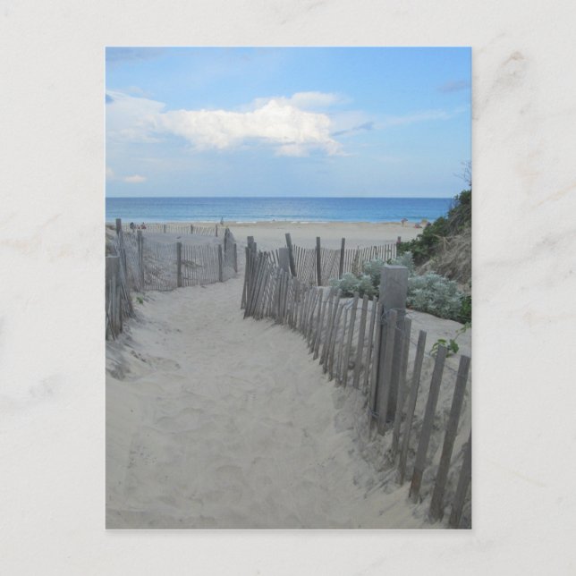 Sand Dunes Block Island Postkarte (Vorderseite)