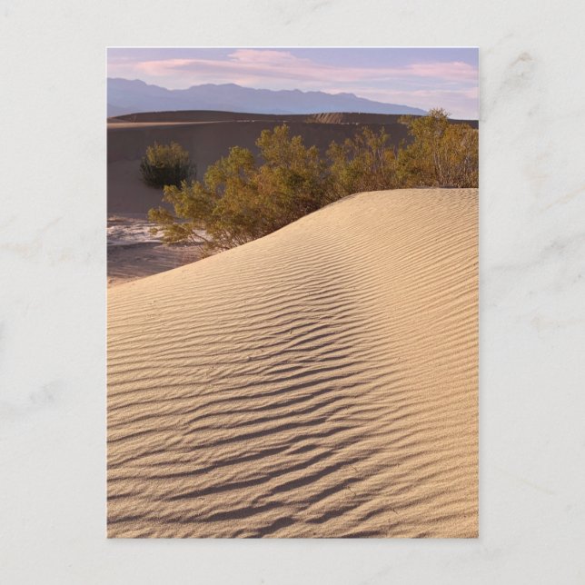 Sand Dunes Death Valley National Park Postkarte (Vorderseite)