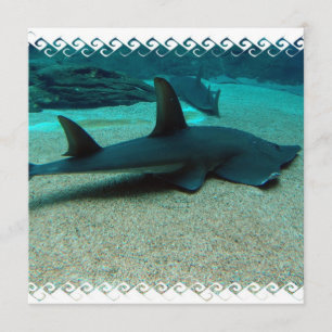 Sand-Haifisch-Einladungen Einladung