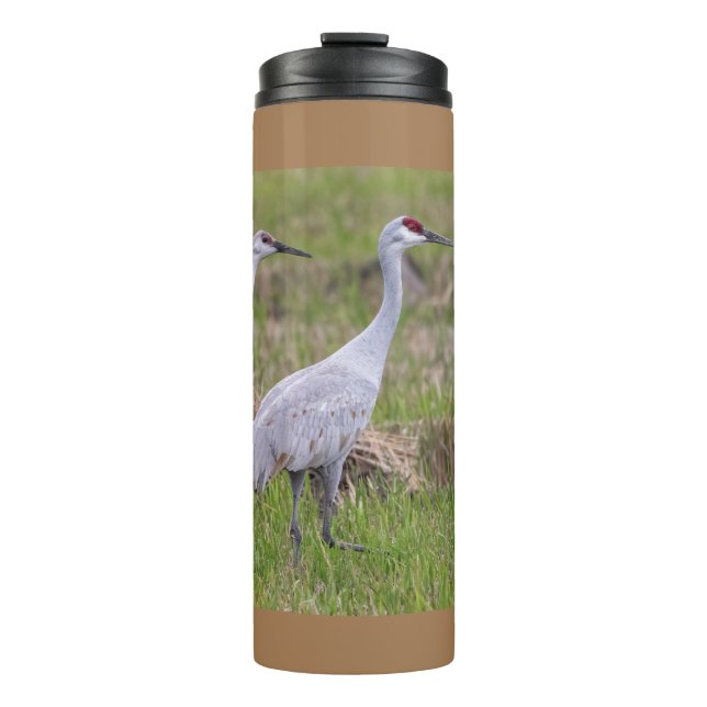 Sand Hill Crane Thermal Tumbler Thermosbecher (Vorderseite)
