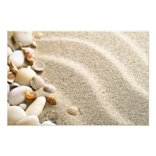 Sand mit Muscheln und Steinen. Zusammensetzung Fotodruck