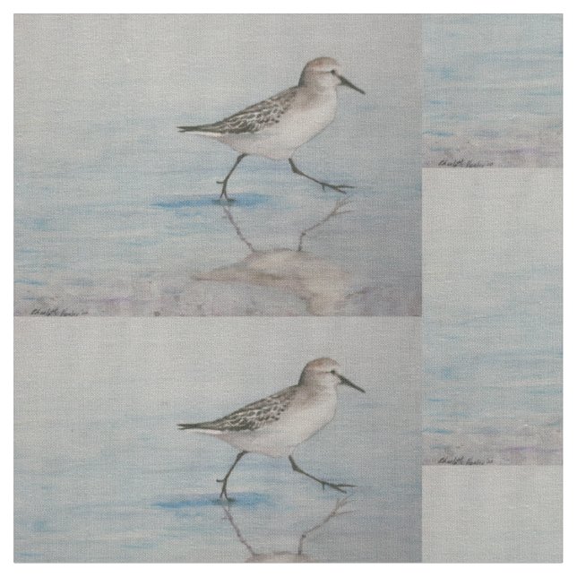 Sand-Pfeifer-Vogel-Kunst-Gewebe Stoff (Nahaufnahme)