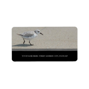 Sand Piper Address Labels Adressaufkleber