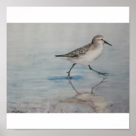 Sand Piper Bird Art Print Poster