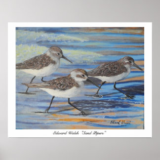 Sand Piper Plakatdruck Poster
