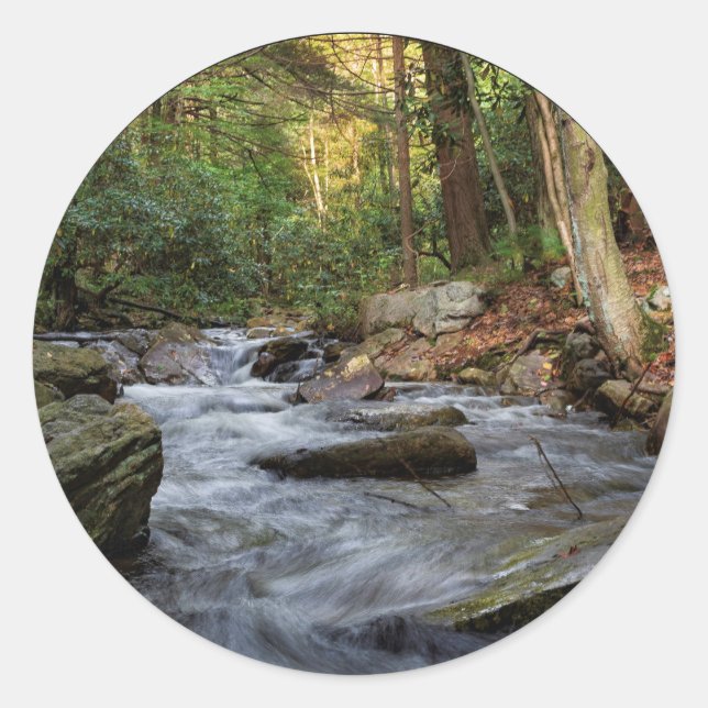 Sand Spring Run, Hickory Run Staat Park Runder Aufkleber (Vorderseite)