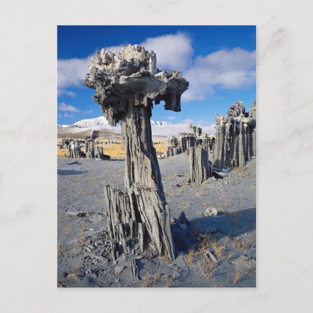 Sand tufa Formationen, Mono Lake, Kalifornien, USA Postkarte (Vorderseite)