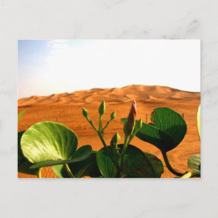Sand und Blume in Dubai, Vereinigte Arabische Emir Postkarte