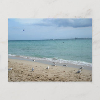 Sand und Seemöwen Postkarte