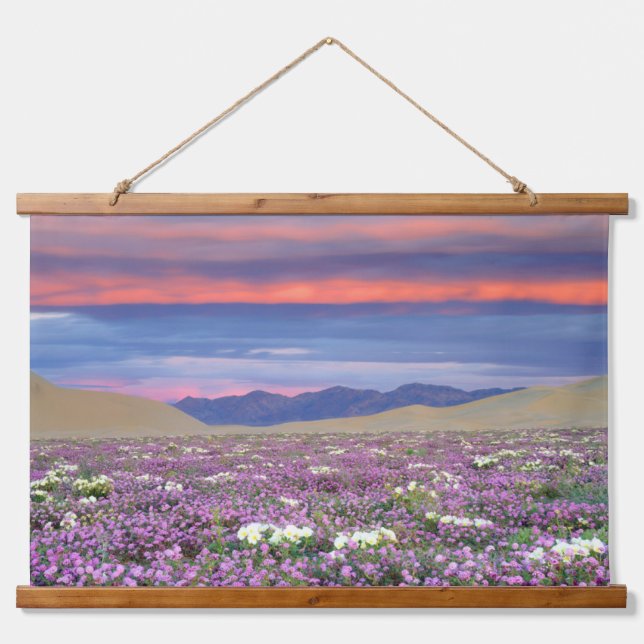 Sand Verbena & Dune Primrose Wildblumen bei Sunset Wandteppich Mit Holzrahmen (Vorne)