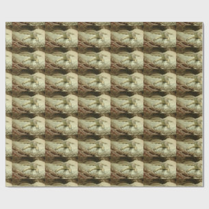 Sand-Waran Geschenkpapier