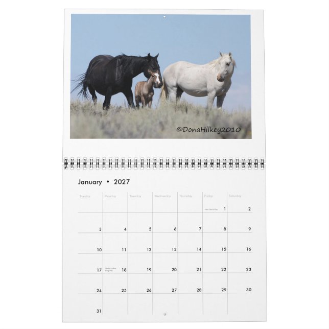 Sand-Waschbecken-wildes Pferd Calander Kalender (Jan 2027)