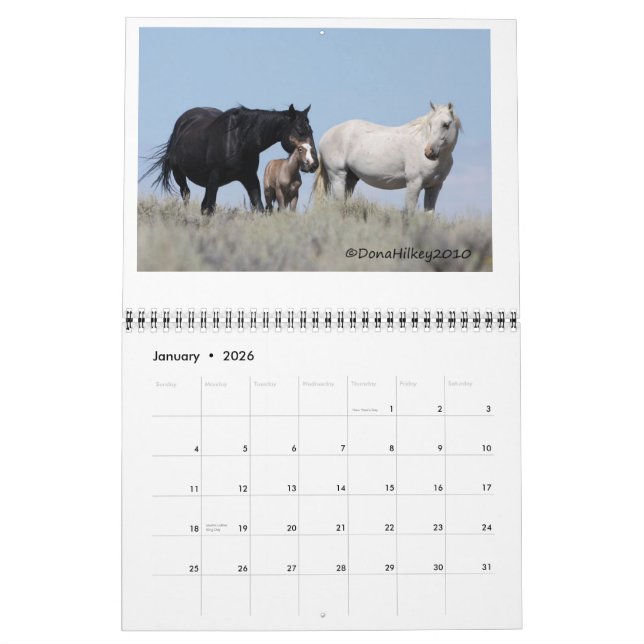 Sand-Waschbecken-wildes Pferd Calander Kalender (Jan 2026)