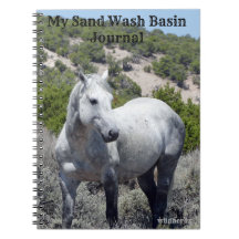Sand Wash Basin Journal