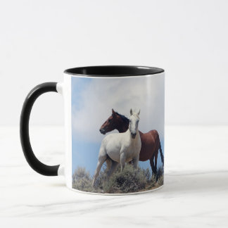 Sand Wash Basin Tasse