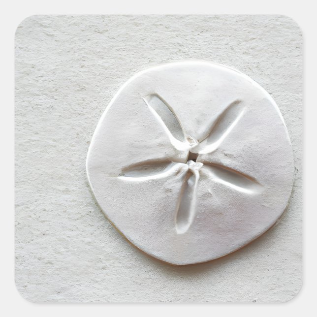 SandDollar am Sandstrand Quadratischer Aufkleber (Vorderseite)