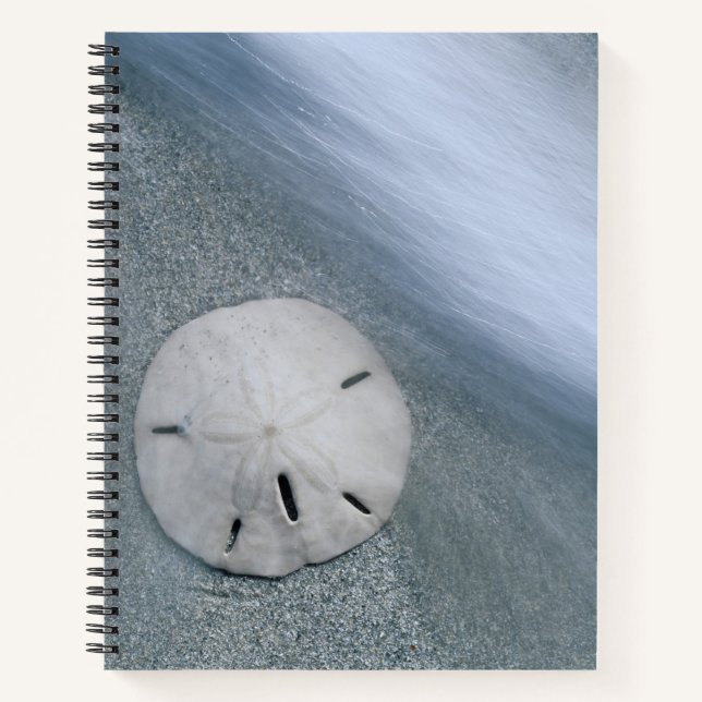 Sanddollar am Strand | Insel Sanibel, Florida Notizbuch (Vorderseite)