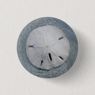 Sanddollar am Strand Sanibel Island, Florida Button