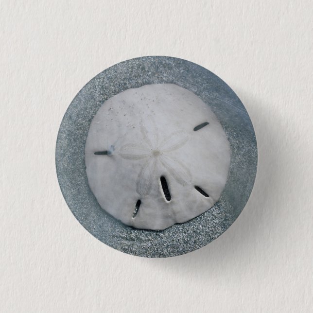Sanddollar am Strand| Sanibel Island, Florida Button (Vorderseite)