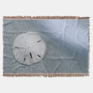 Sanddollar am Strand  Sanibel Island, Florida Decke