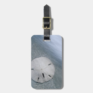 Sanddollar am Strand  Sanibel Island, Florida Gepäckanhänger