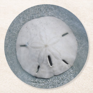 Sanddollar am Strand Sanibel Island, Florida Runder Pappuntersetzer