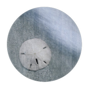 Sanddollar am Strand Sanibel Island, Florida Schneidebrett