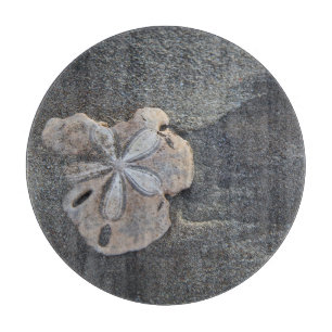 Sanddollar auf Sand Schneidebrett